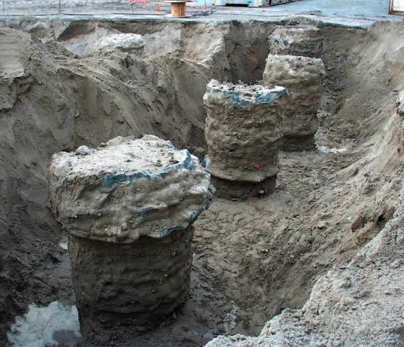 Portfolio Project Image